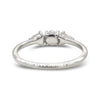 Te'anim Ring Model - a three stone rough diamond ring in 14k white gold