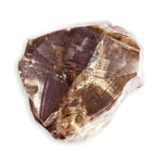 1.29 carat cognac brown rough diamond triangle maccle Raw Diamond South Africa 