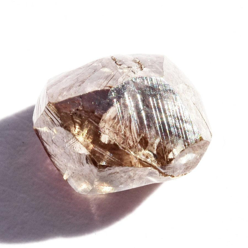 1.31 carat smoky brown rough diamond freeform crystal Raw Diamond South Africa 