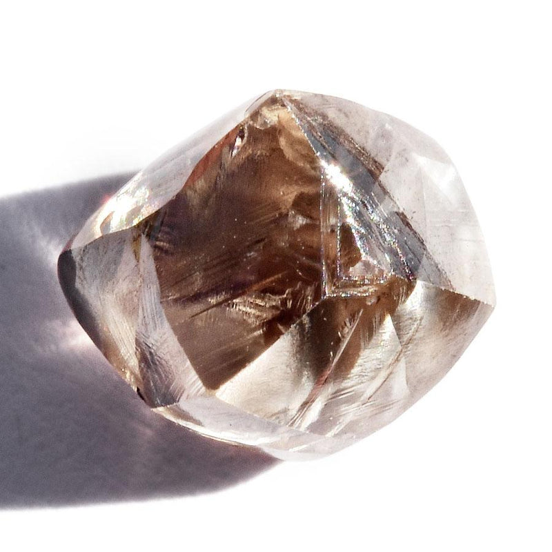 1.48 carat champagne blush rough diamond dodecahedron Raw Diamond South Africa 