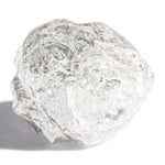 2.56 carat white rough diamond freeform crystal Raw Diamond South Africa 